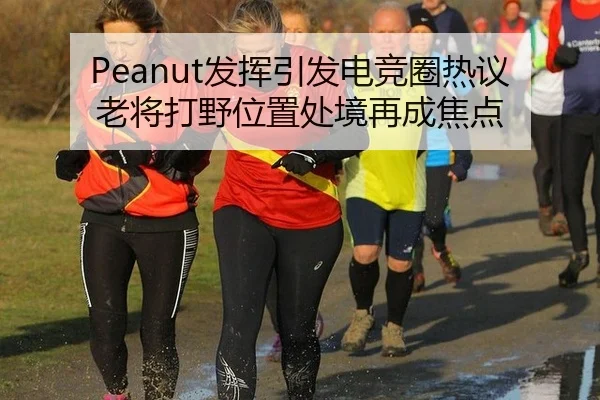 Peanut发挥引发电竞圈热议 老将打野位置处境再成焦点